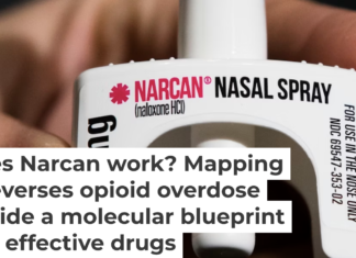 Naloxone competes with opioids for the same receptor on the surface of neurons. Matt Rourke/AP Photo
